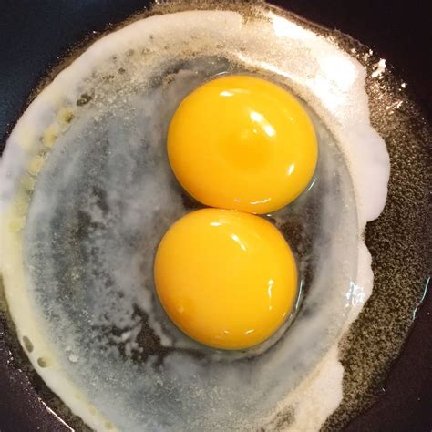 double yolked egg meaning